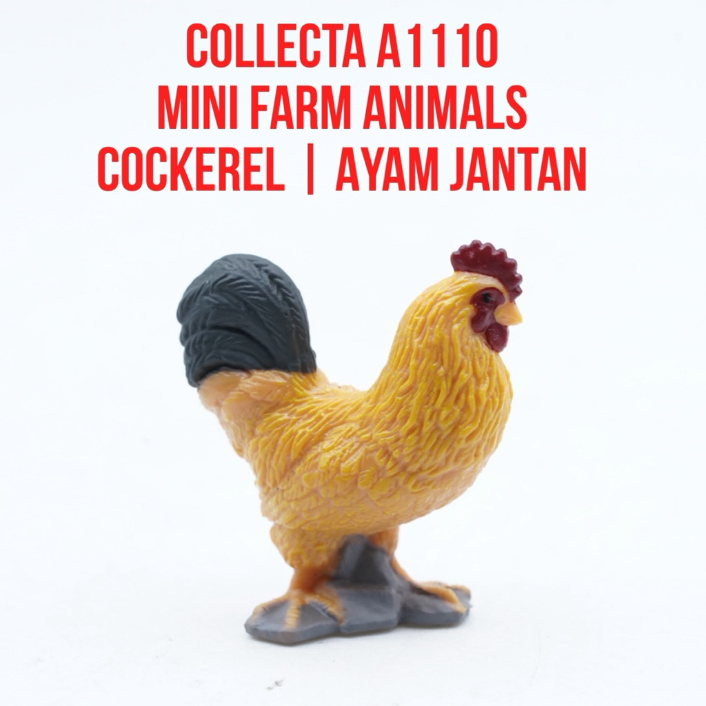 Collecta A1110 Mini Farm Animals | Cockerel Rooster Chicken Ayam Jantan Jago Gallus Gallus Domesticu
