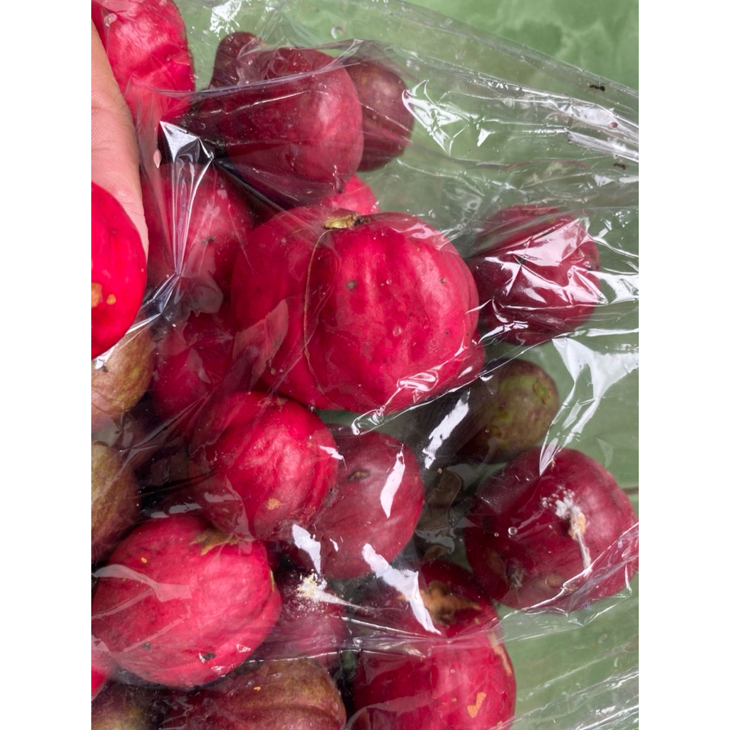 buah mahkota dewa segar 1 kg buah mahkota dewa merah