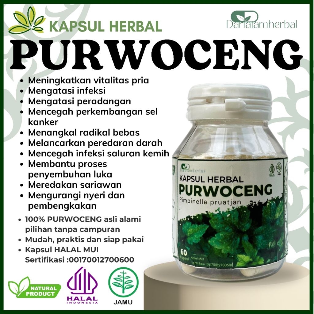 Herbal Kapsul PURWOCENG Asli 100% Alami | Kemasan Botol isi 60 kapsul | Herbal Sejuta Manfaat Keseha