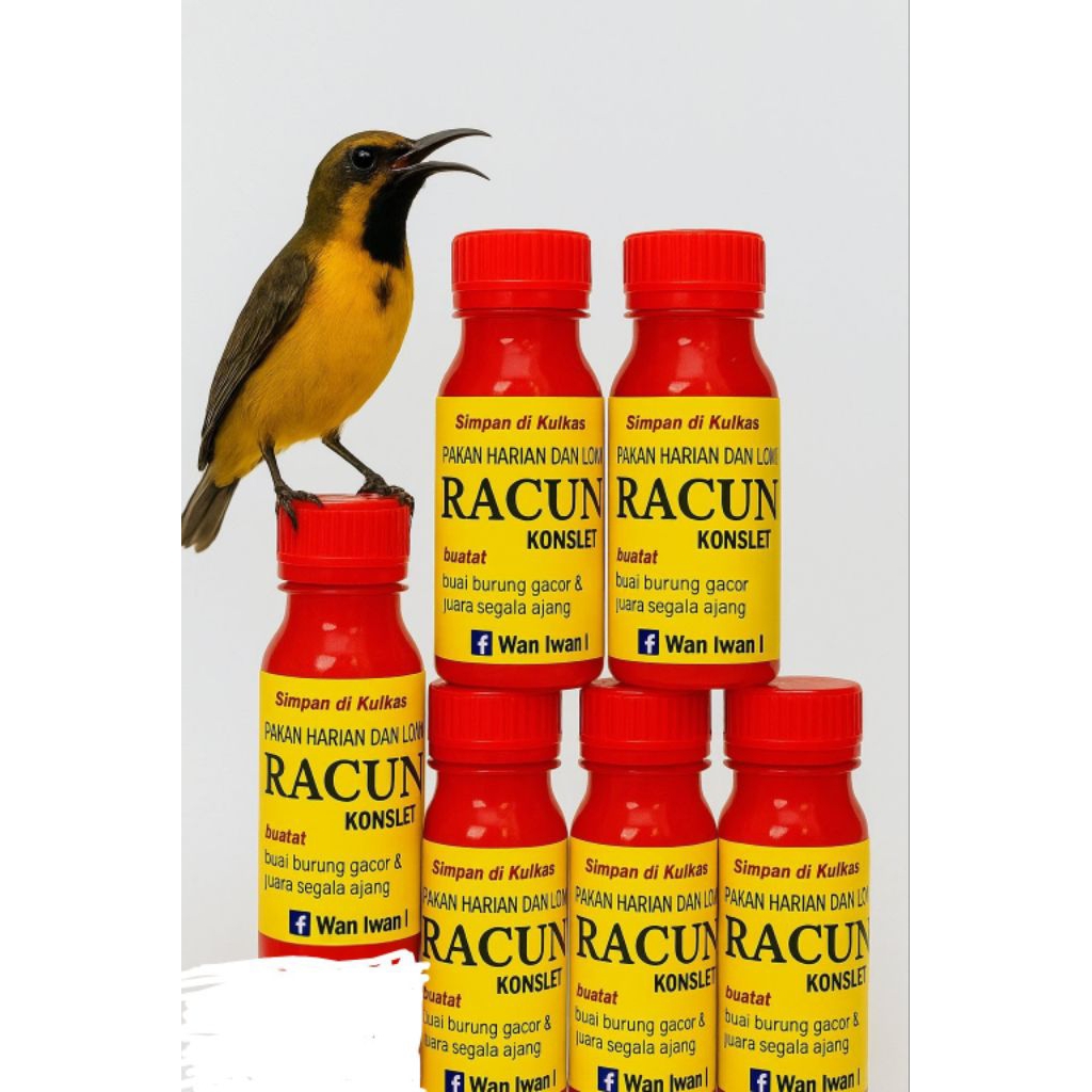 NEXTAR PENGGACOR RACUN KONSLET SOGON KONIN