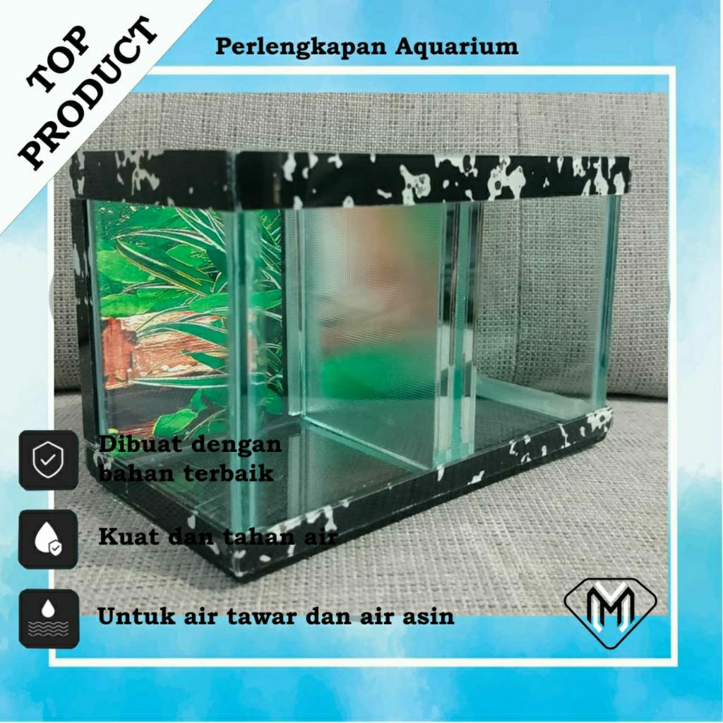 AQUARIUM MINI SEKAT 2 / AQUARIUM KACA MINIMALIS / AQUARIUM IKAN CUPANG GUPPY CHANA