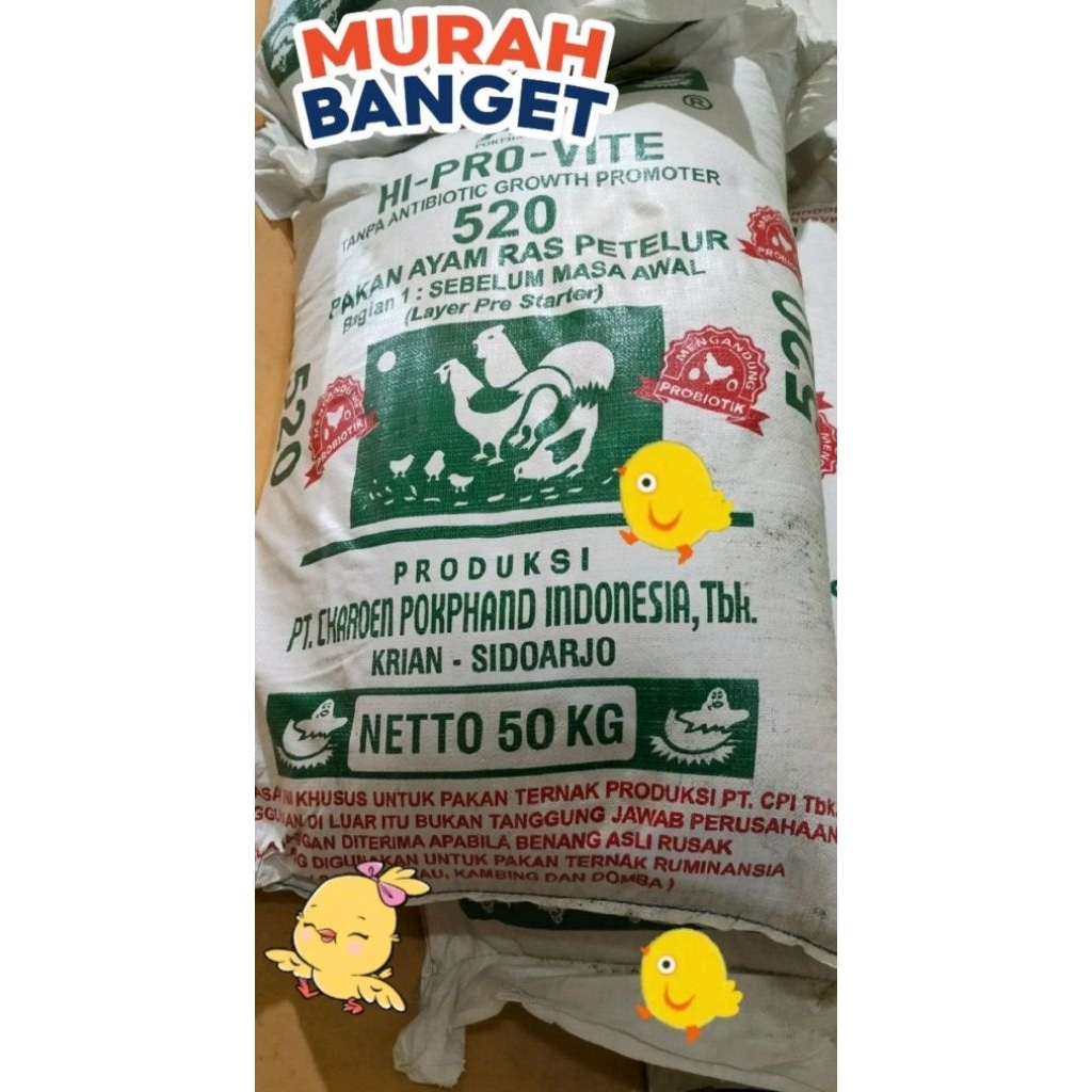 Repack 1 kg pakan ayam petelur Doc baby