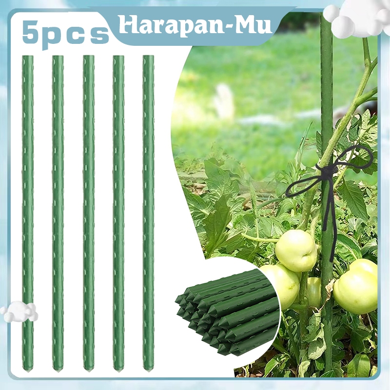 5Pcs 180cm Plant Stake Ajir / Plant Stake Ajir Tanaman / Tiang Penyangga Tanaman
