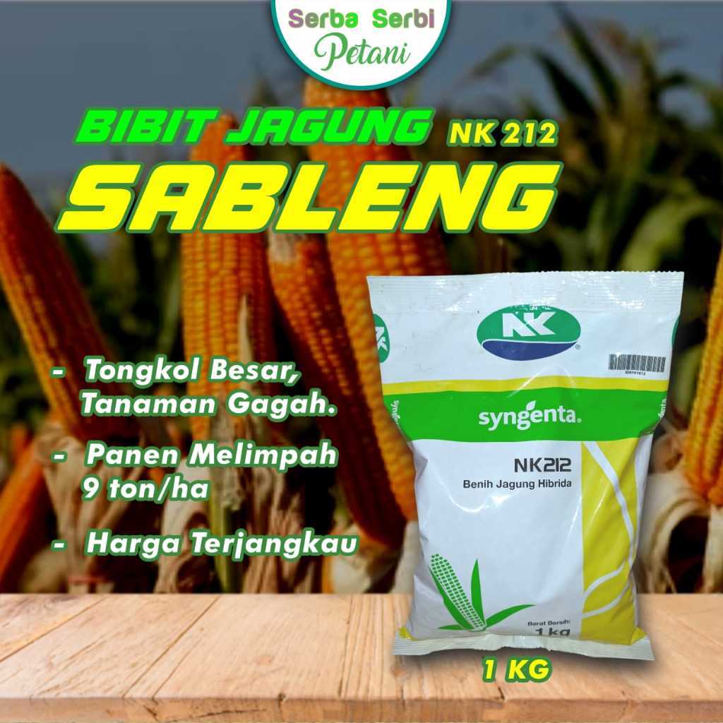 BIBIT JAGUNG Sableng NK212 Berat 1 KG | Benih Jagung Hibrida.