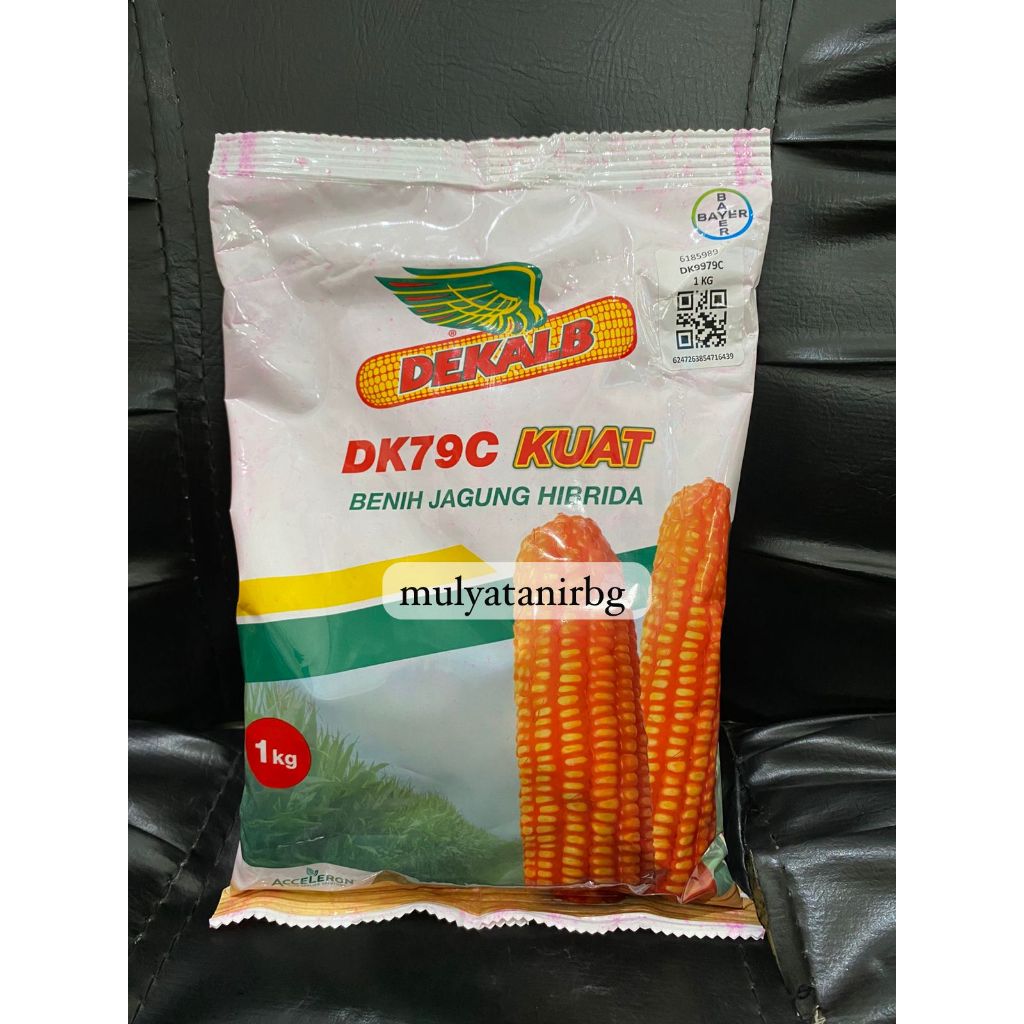 Benih Jagung DK79C Kuat 1 KG-BAYER - original