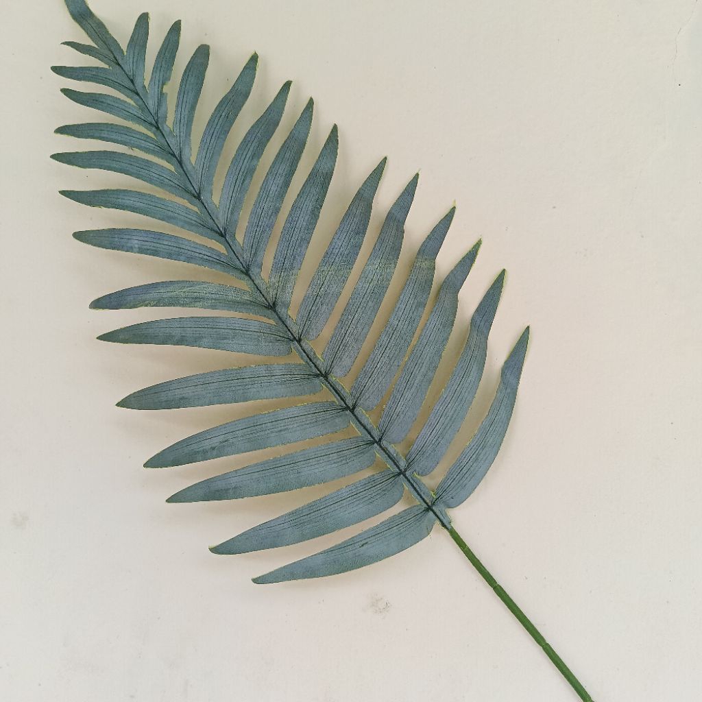 daun palem kelapa besar 65cm dekorasi
