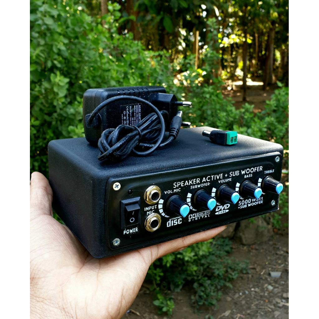 POWER MINI AMPLIFIER 100 WATT CLASS D DOUBLE CHANNEL KARAOKE SUBWOOFER