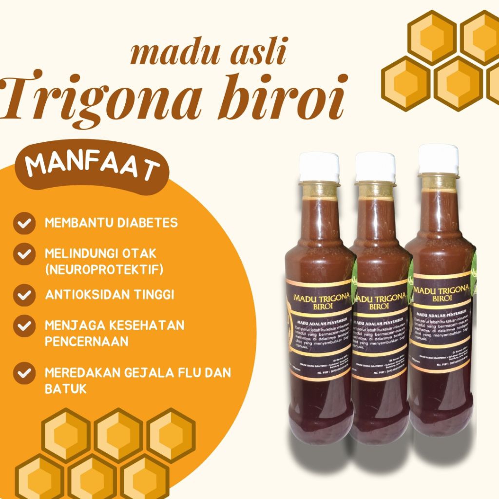 100% Madu Murni Trigona Biroi