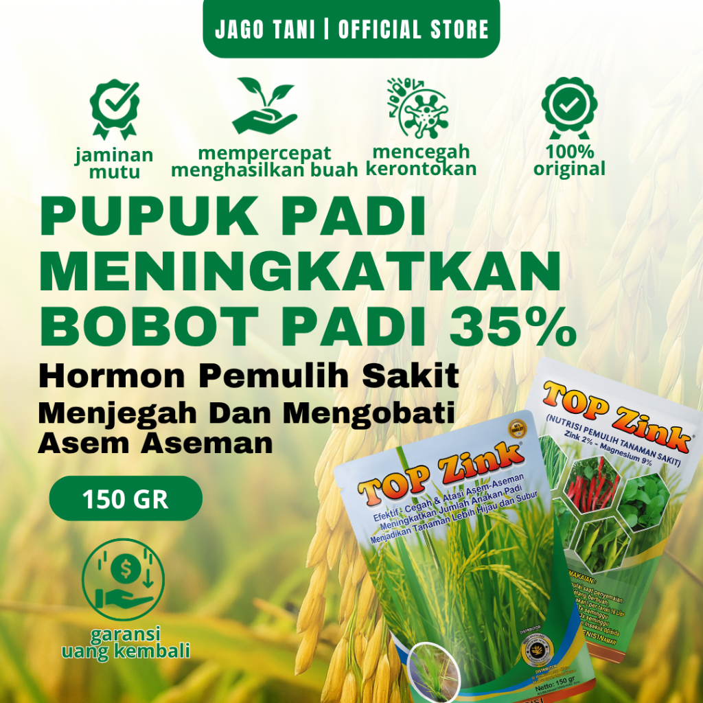 Pupuk TOP ZINK 150gr || Perbanyak Anakan Padi & Mengobati Asem Aseman || Obat Semprot Padi || Penyub