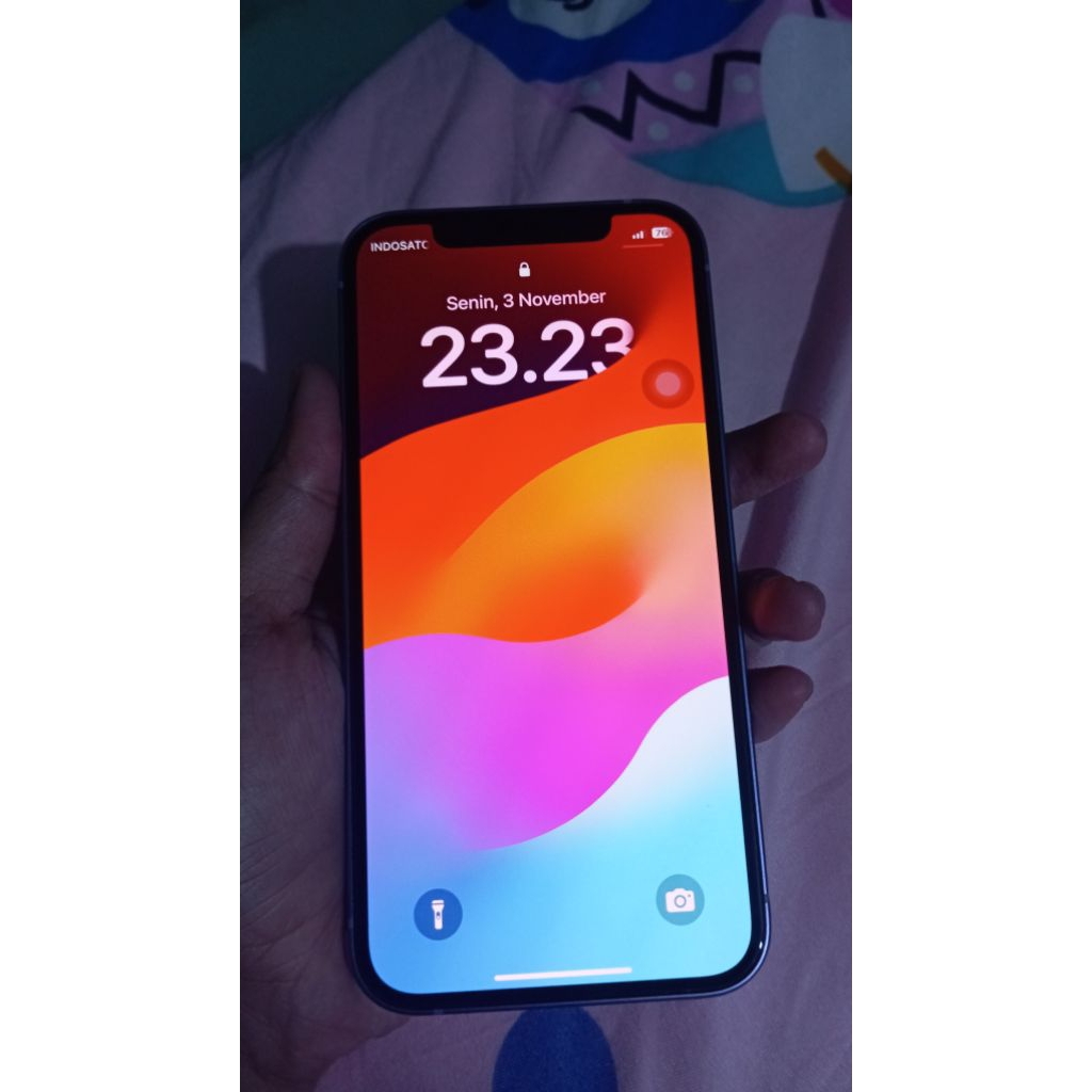 iphone 12 pm 256 second