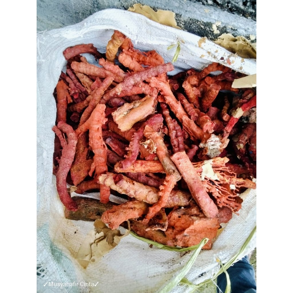 Bongkahan Batu Marjan