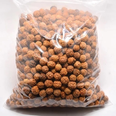 500GR BIJI JENITRI GRADE A MOTIF Untuk Kerajinan Setengah Kilo Rudraksha Genitri Jenitri Alami Banya