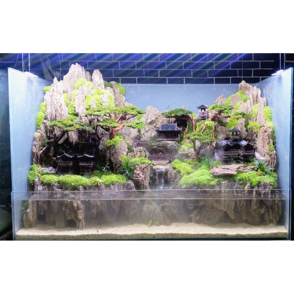 PALUDARIUM FULLSET UK 80 CM HIASAN AQUARIUM PROMO TERBATAS