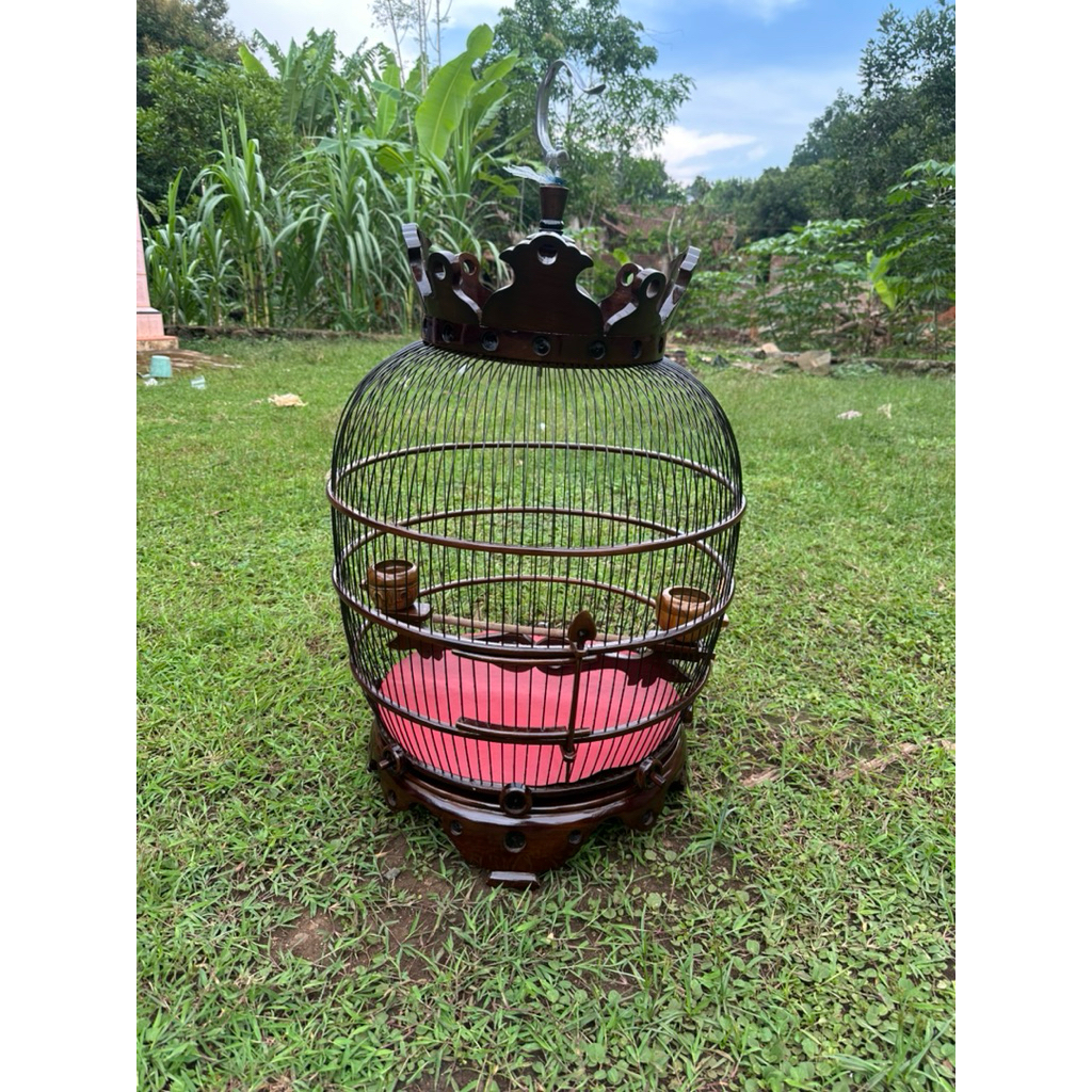Sangkar Puter Pelung Kayu Jati Jeruji Fiber