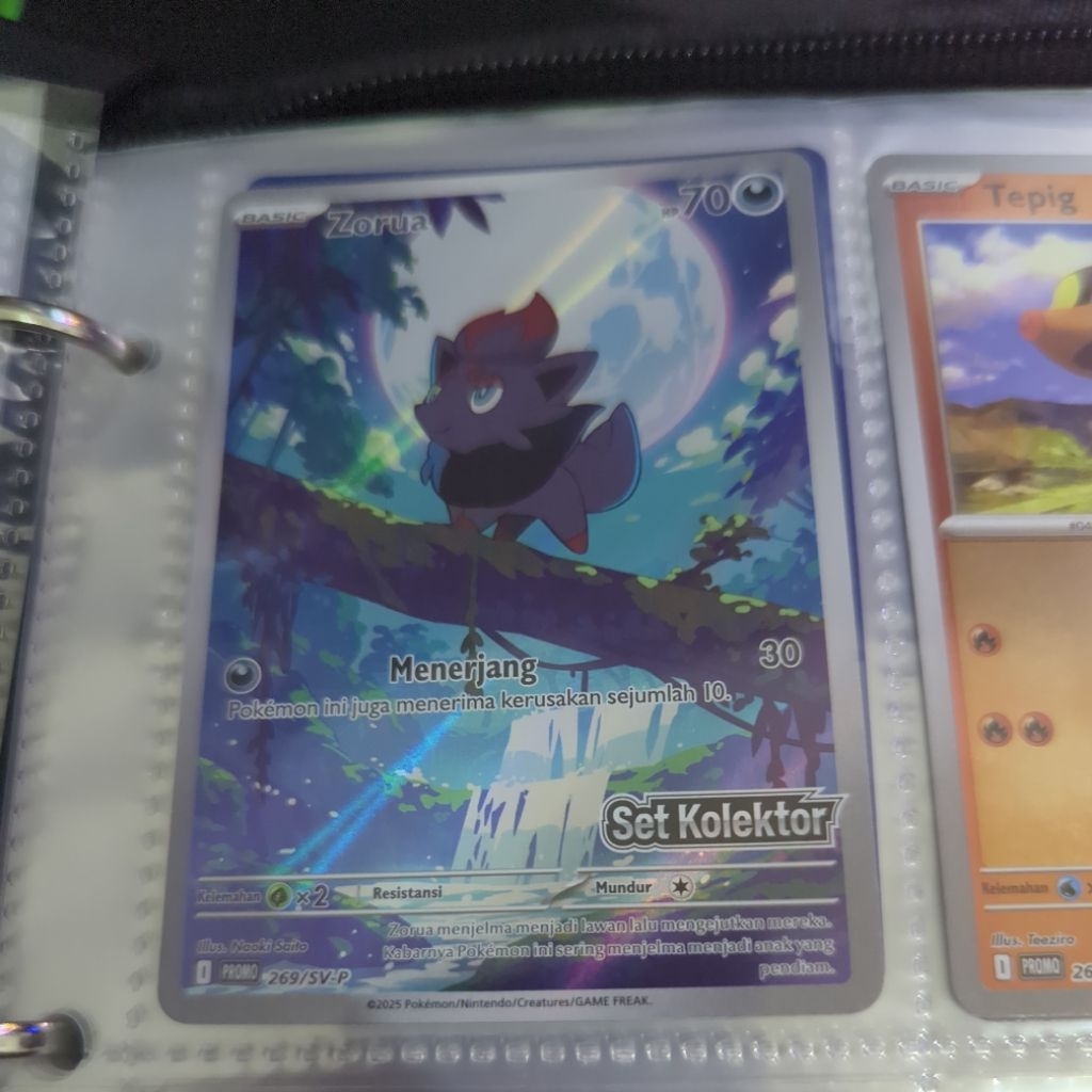 Pokemon Card Zorua Set Kolektor SV-P