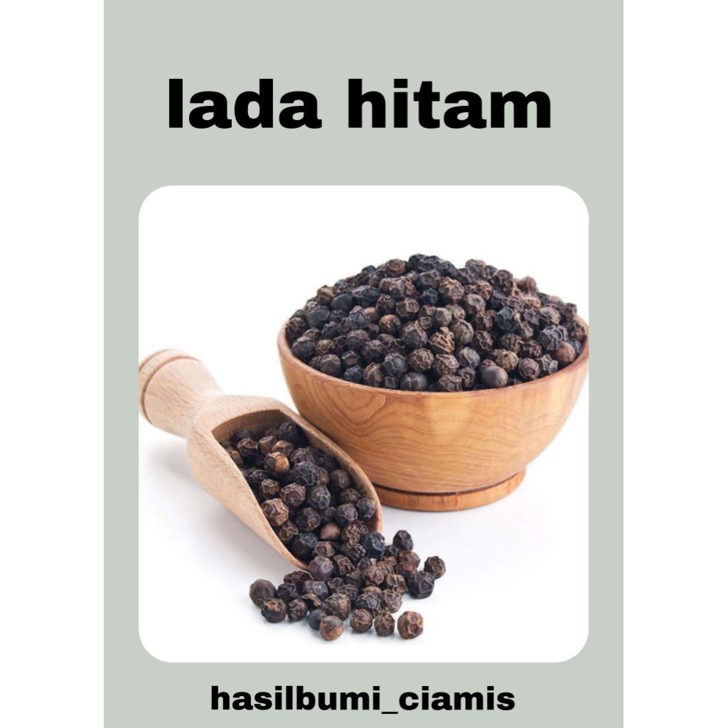 lada hitam / biji lada / lada hitam kualitas ekspor