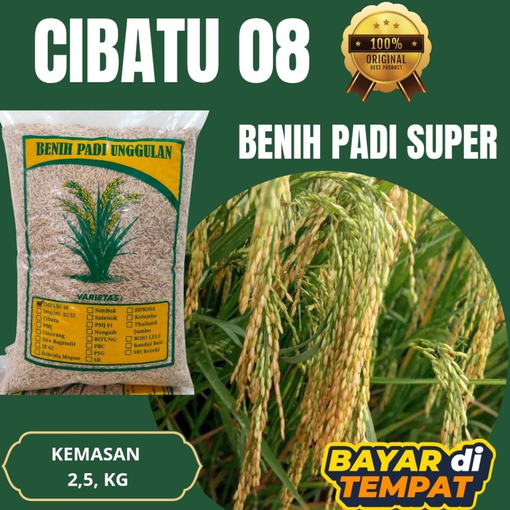 benih padi Cibatu 08 dengan kemasan 2,5kg benih padi super cibatu 08