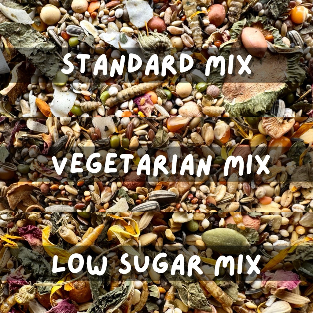 SEEDLICIOUS (100gr/250gr) SYRIAN, DWARF, LOW SUGAR, STANDAR MIX & VEGETARIAN MIX by ALEXTINE | Choco