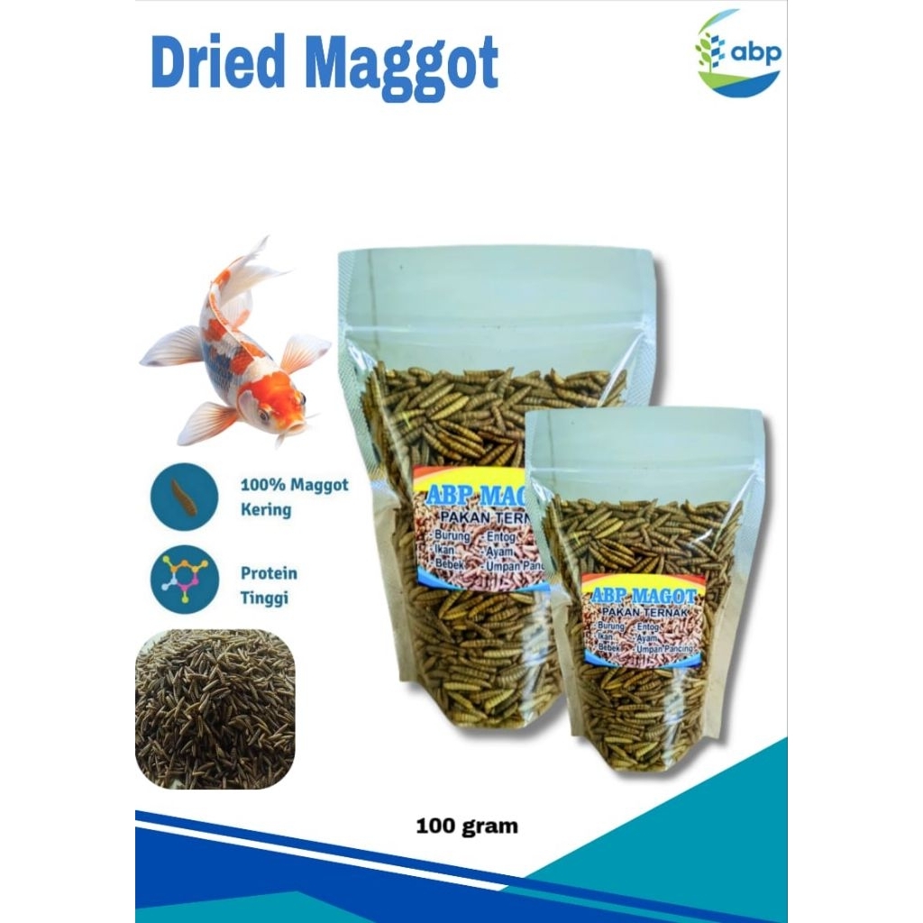 Maggot BSF Kering 100 gram