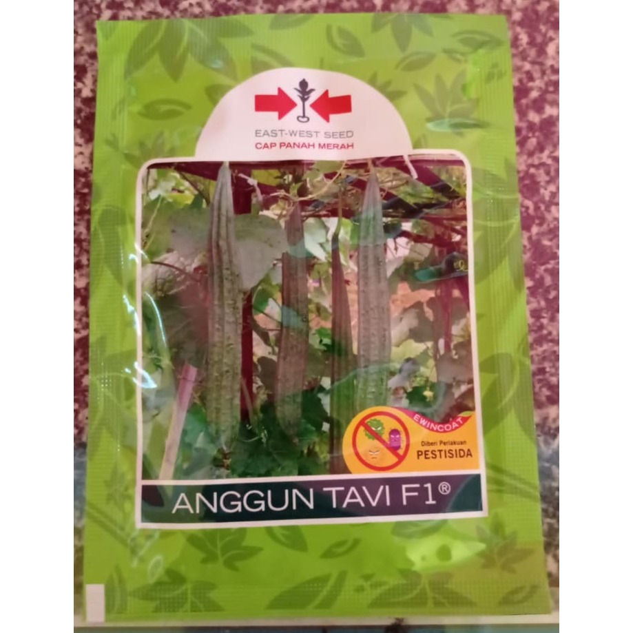 Benih Gambas Oyong Anggun Tavi F1 75 Butir