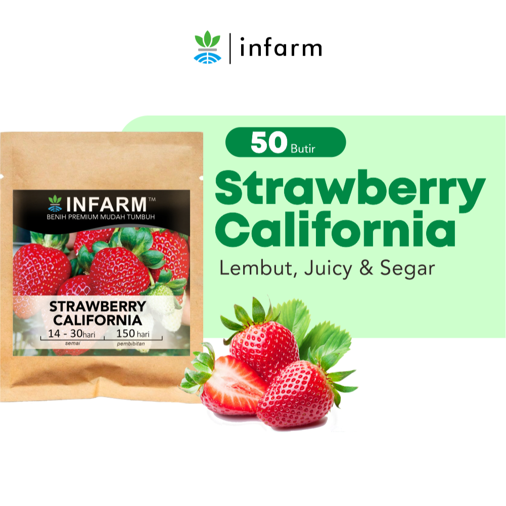 INFARM - Bibit Strawberry California 50 Butir Benih Buah Strawberry Merah Besar Manis Segar Biji Str