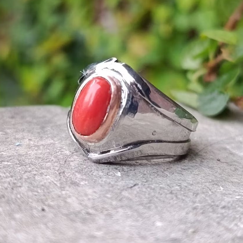 Red Coral Marjan Tunisia Natural