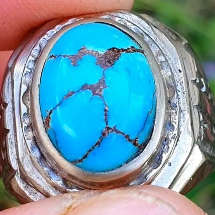 pirus mesir serat merah