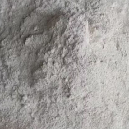 Tepung cangkang kerang hijau