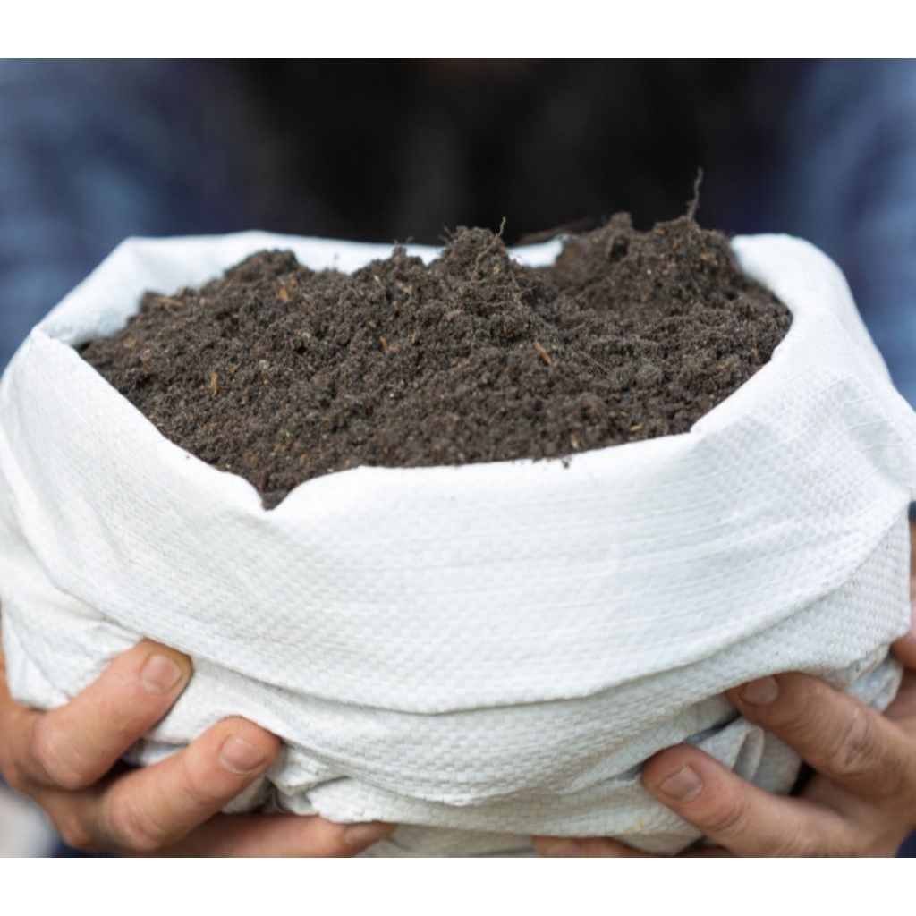 pupuk kandang ayam petelur asli tdk campuran langsung dari kandang