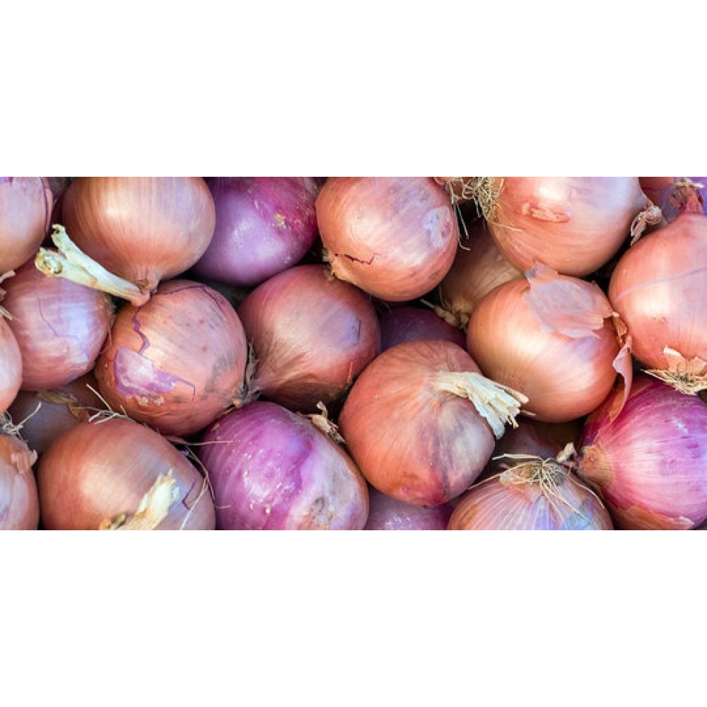 Bawang Merah INDIA 1 Kilo