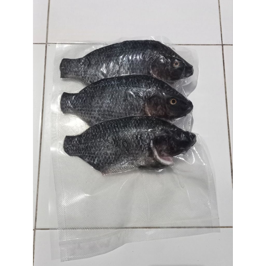 Ikan Nila Segar/Ikan Frozen/Ikan Nila Marinasi/Ikan Siap Goreng