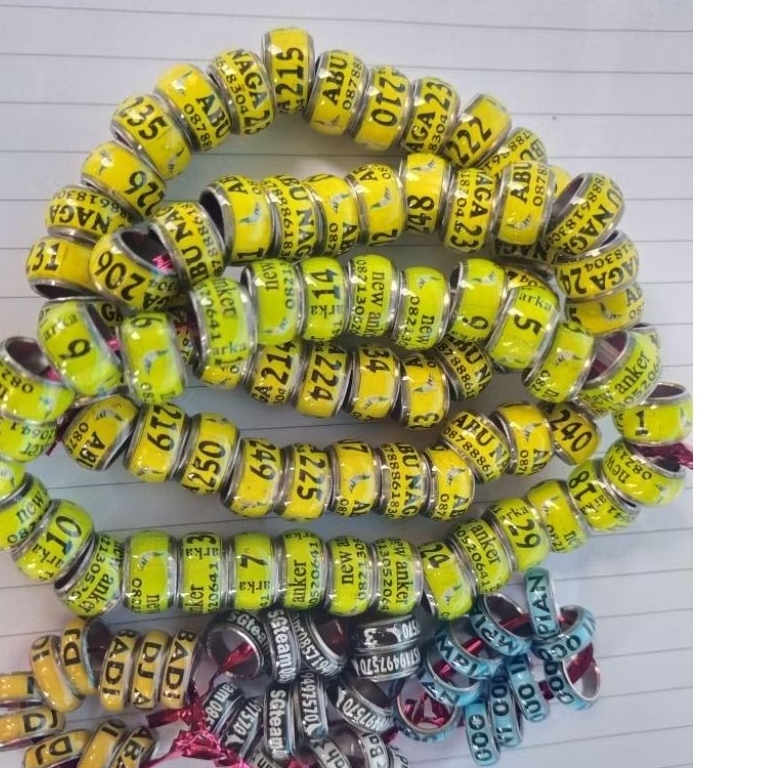 RING MERPATI MODEL BAJA DONAT VARIASI REQUEST NAMA RING NURI RING SUN COURNE RING INDIAN RINGNECK RI