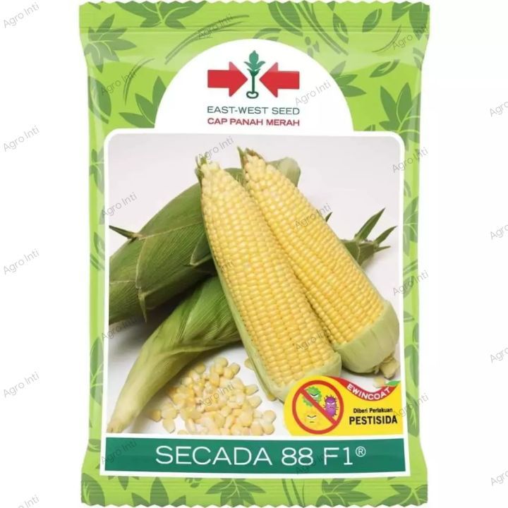 PROMO !!! Benih Jagung Manis SECADA 88 isi 1800 Butir Cap Panah Merah / Secada 88