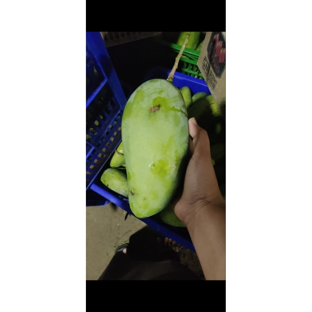 Mangga Kiyojay