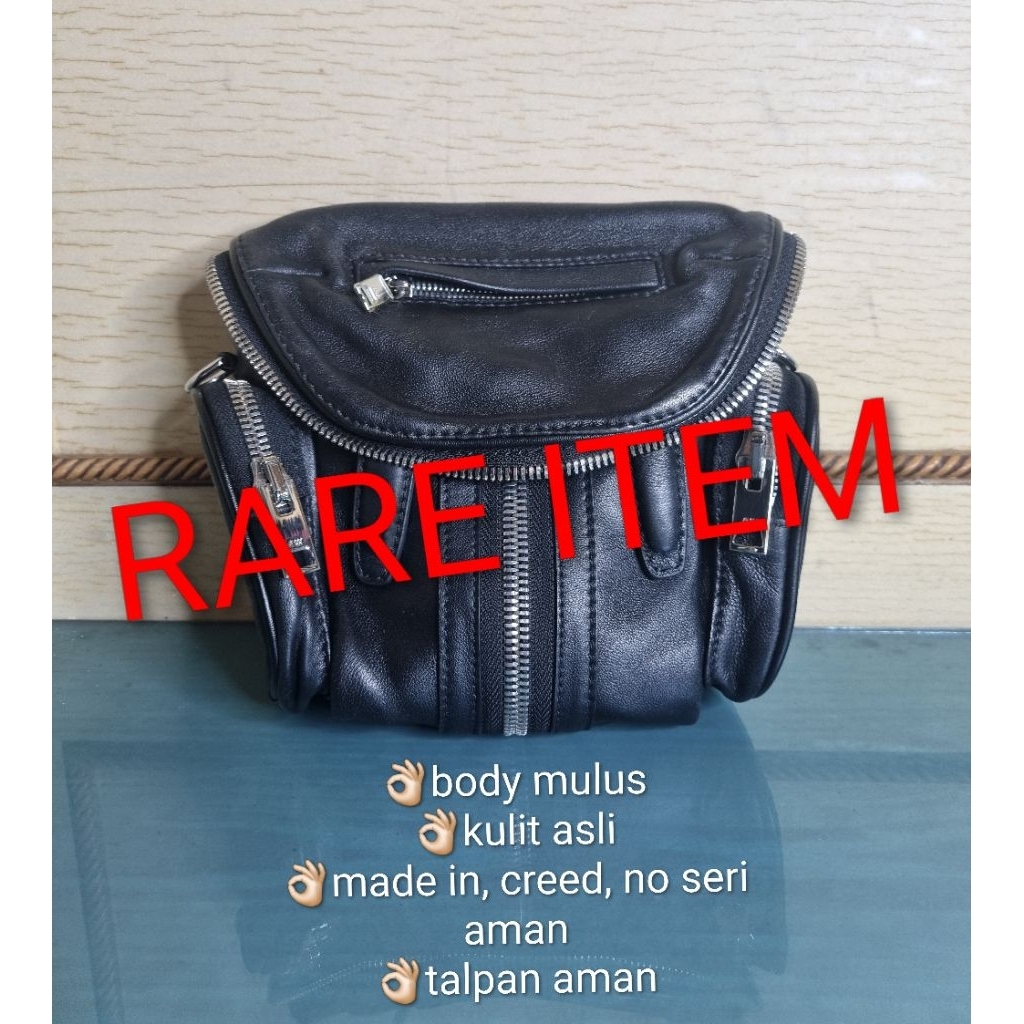 TAS SLING MINI ALEXANDER WANG RARE ITEM