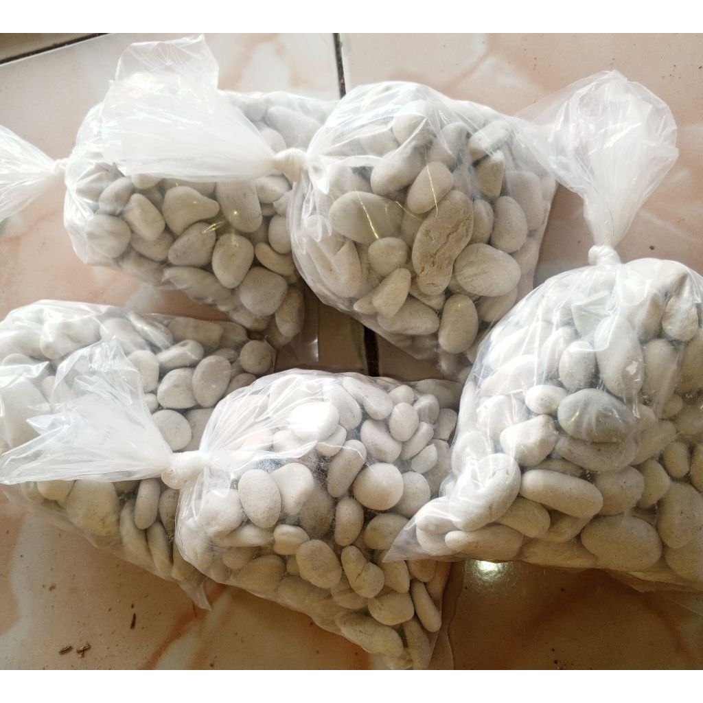 Batu Taman Putih 1kg / Termurah / Batu Coral Putih Kupang / Batu Kupang / Batu Taman Putih