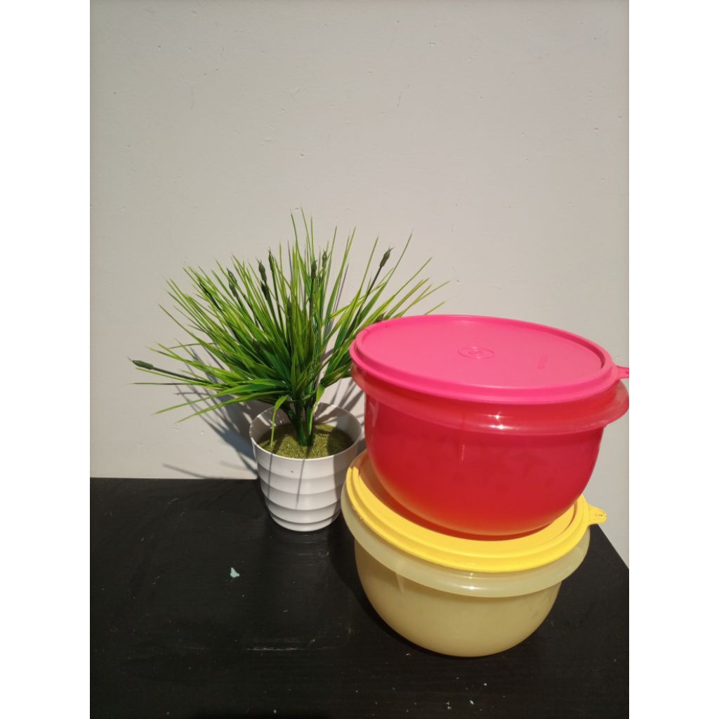 Twinkle Bowl Tupperware 2nd