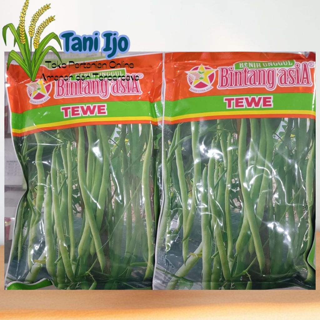 Benih KACANG PANJANG BINTANG ASIA TEWE