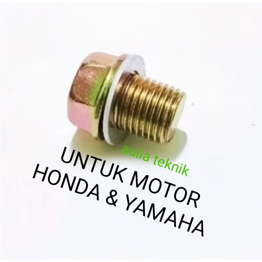 SET BAUT + RING TUTUP OLI OVERSIZE 19. M 14 x 1,5.BAUT 19 KUNCI 17