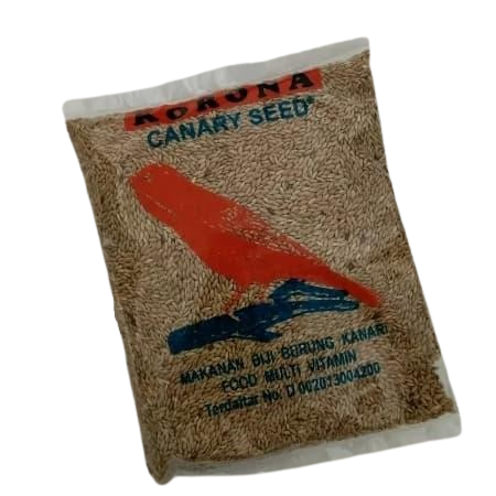 Korona Seed Kenari
