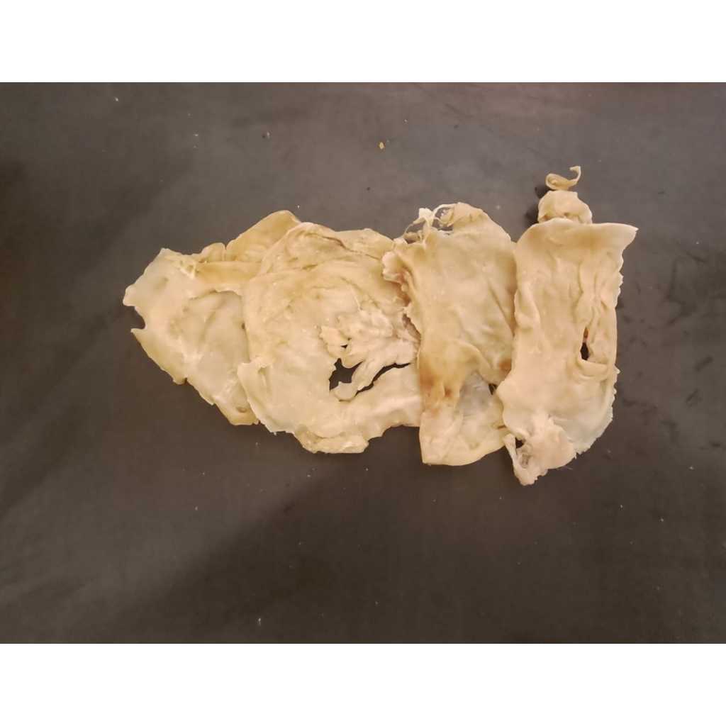 Fish Maw Ikan Kerapu 500gr/ Gelembung Perut Ikan Kerapu / Seafood 22