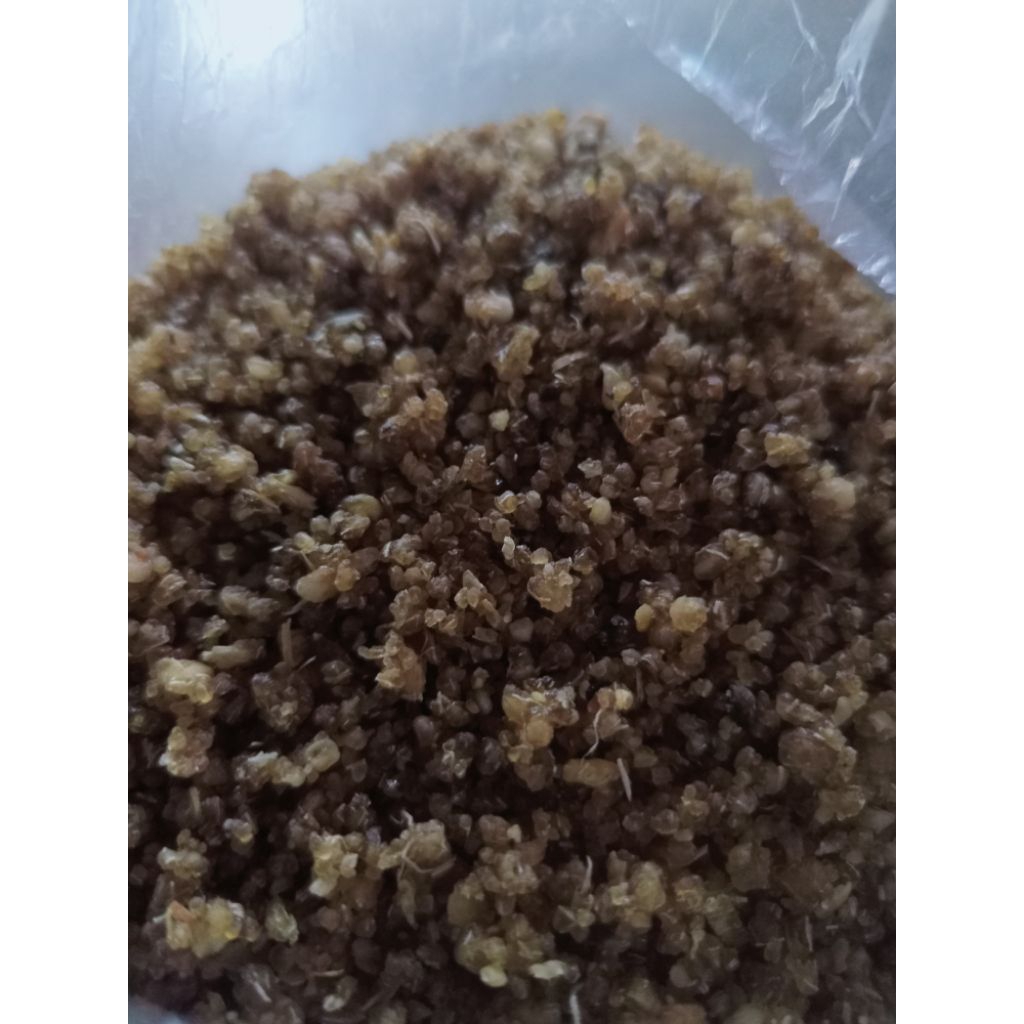 Tiwul Kering /Karak tiwul/ pengganti nasi