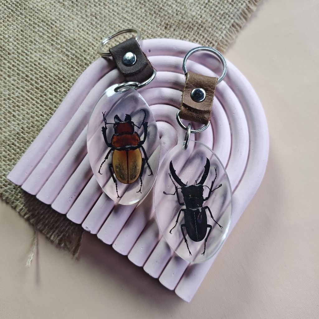 Gantungan Kunci Resin Serangga Asli Ukuran L