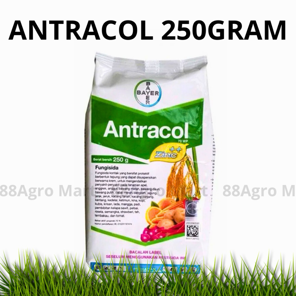 ANTRACOL 70 WP 250 GRAM FUNGISIDA / ANTRACOL 250GRAM ORIGINAL