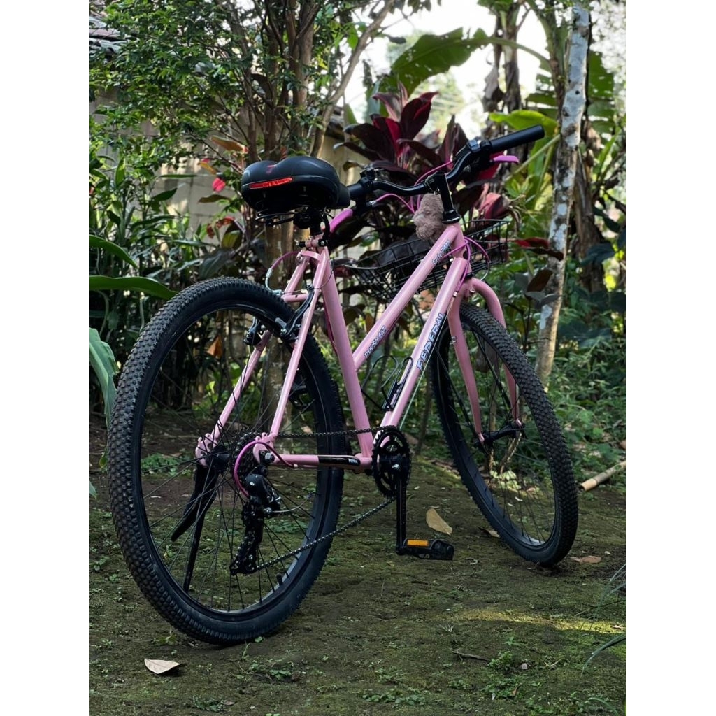 commuter bike federal 26