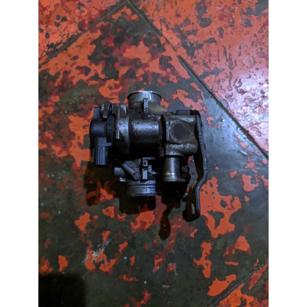 trotolbody (TB) ori cabutan mio j