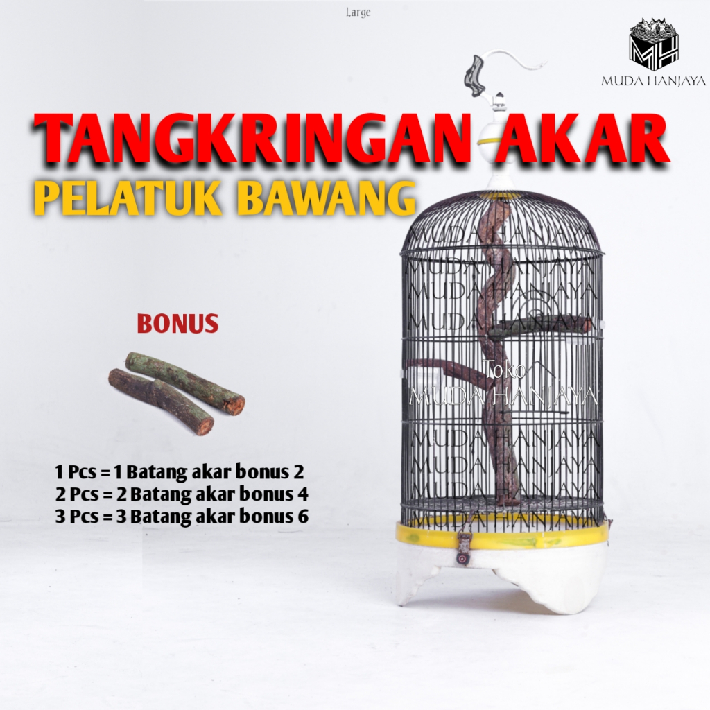 Tenggeran Tangkringan Akar Burung Pelatuk Bawang Menjalar Bagus | Muda Hanjaya