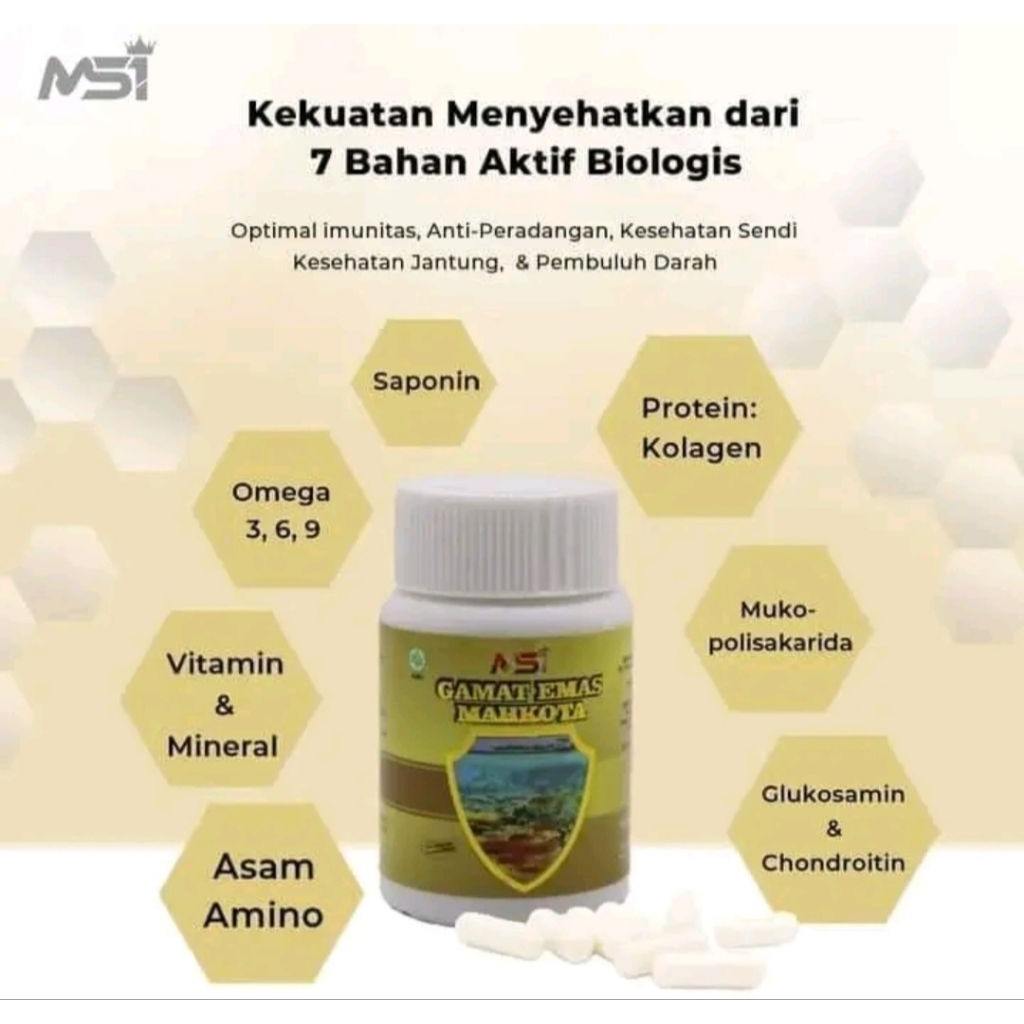 ORIGINAL 100% Gamat MSI