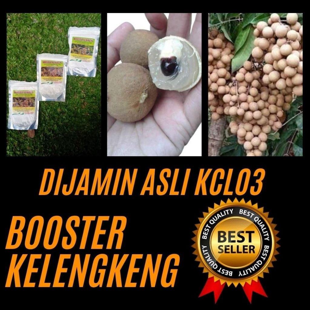 Booster Kelengkeng Serbuk, Booster Kelengkeng Terbaik, Booster Kelengkeng Terdekat