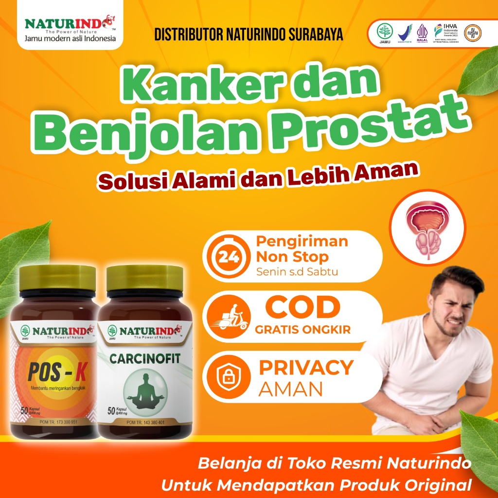 OBAT HERBAL KANKER PROSTAT OBAT HERBAL UNTUK GANGGUAN PROSTAT MEMELIHARA KESEHATAN PROSTAT JAMU MODE